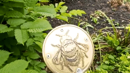 A gif of 3 seconds showing two hands putting white paper on a brass plaque and rubbing with a crayon to create image of a bee
