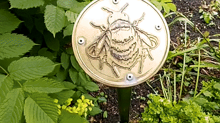 A gif of 3 seconds showing two hands putting white paper on a brass plaque and rubbing with a crayon to create image of a bee